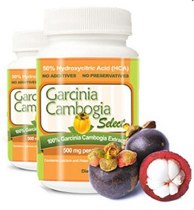 the most effective diet pill of 2013 so far is Garcinia Cambogia 